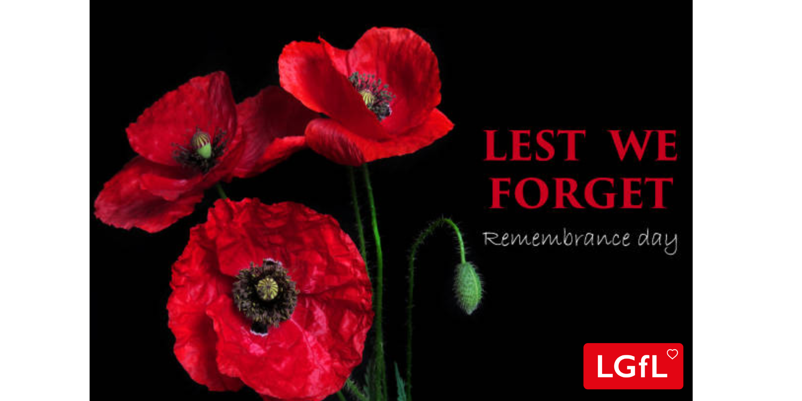 Armistice And Remembrance Day 2022